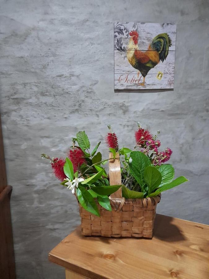Casa Dona Eufemia Bed & Breakfast Pinhão Eksteriør bilde